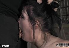 hey, check us out, four gals squeezed into this tiny 18+ cage for some wild fun