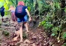 Aquele Show De Picaduras