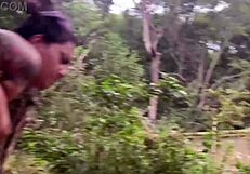 Aquele Show De Picaduras