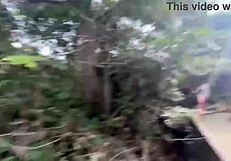 Aquele Show De Picaduras