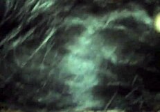 the nasty mommy gives slutty blowjob and swallows