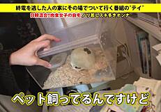 check out the full version of this video link provided