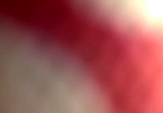 Big cock intensely fucks wet pussy and ass