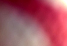 Big cock intensely fucks wet pussy and ass