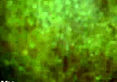 Watch me stroke my cock while she watches in position four?