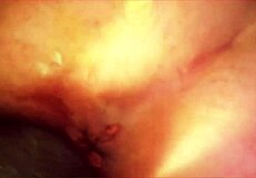 German BBW MILF Couple Explodes!