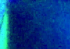 bathtub pussy licking live party show