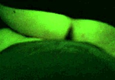 Wow, this milf devours my cock with intense passion!