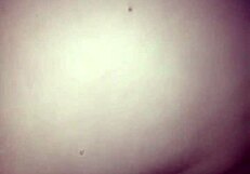 Homemade video featuring kay phoenix