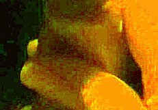 Ifoslave Delivers Intense Slow Cock Stroking Leading to Explosive Masturbation and Creampie