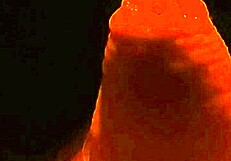 Ifoslave Delivers Intense Slow Cock Stroking Leading to Explosive Masturbation and Creampie