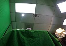 Watch Scarlett Johnson's Pink Pussy POV?