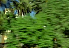 They Kick Off with Wild Foreplay in Swinger Group