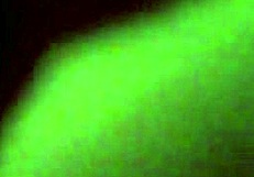 she couldn't handle the situation this evening