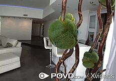 Watch the landlord blow his load deep inside that broke tenant from POV.