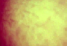 Japanese Friend Shares Amateur Moments