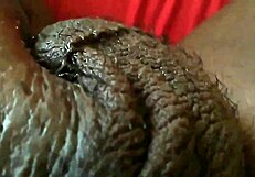 Passionate Blowjob On Big Black Cock Close Up