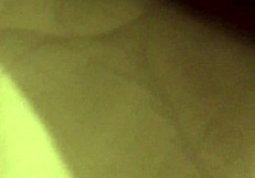 내 사랑하는 아내의 보지가 매일 나를 미치게 해