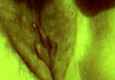 My dear wife’s pussy drives me wild every single day