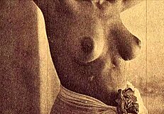 a night in a moorish harem with lord george herbert