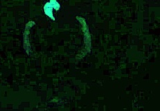 scarlett johnson in blacklight sex pov 4 😈