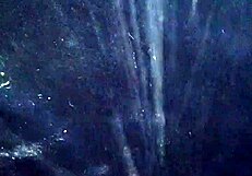 Raw Cock Masturbation With Vigorous Stroking