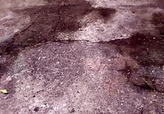 Hey, check this Brazilian gay guy jerking off in the woods! 🌳💦