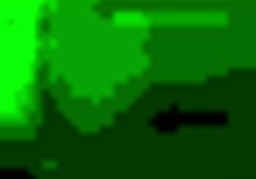 vika, the russian young woman, gives a blowjob in a homemade setting