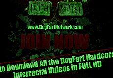 yo, nina elle just got wrecked by a gang of black guys, insane!