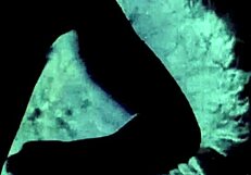 Exploring Retro Vintage Porn