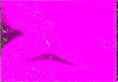 Exploring Retro Vintage Porn