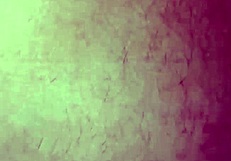 La impalo allaperto e le sborro nel viso