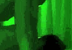 Evita De Luna's Sex Lesson!