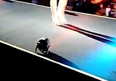 Latina big tits ass parade in usa