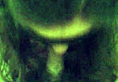 Blindfolded girlfriend gives blowjob to old friend