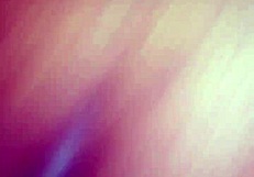 amateurs engage in quick sex in the car