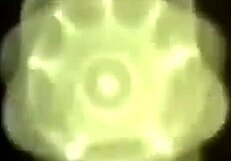 stars expectation vs reality moments