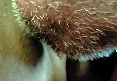 Detailed licking of Asian pussy with fingering