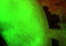 Amateur Shemale Performances Featuring Gatita Xxx