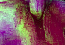 utah james destroying pussy with his huge cock