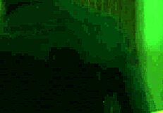 Evelin, the pretty petite vixen, enjoys a surprise date away from her boyfriend.