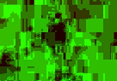 Amateur Shemale Performances Featuring Gatita Xxx