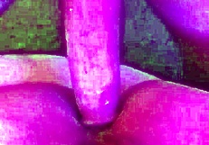 utah james destroying pussy with his huge cock