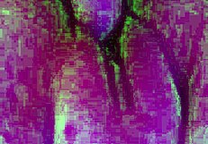 utah james destroying pussy with his huge cock