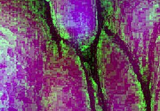 utah james destroying pussy with his huge cock