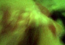 Skinny Wife Enjoys Quiet Evening