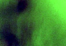 Skinny Wife Enjoys Quiet Evening