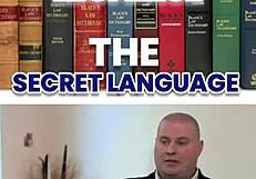 Chatting with Dayday