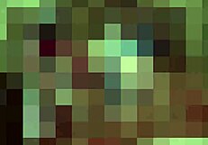 Now is my chance to sneak in and play with her feet