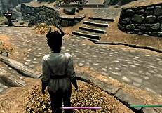 Skyrim Sex With Multiple People Including Anal And Oral